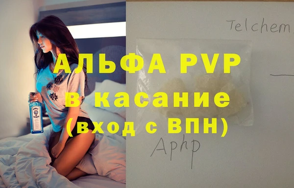 гашик Пересвет