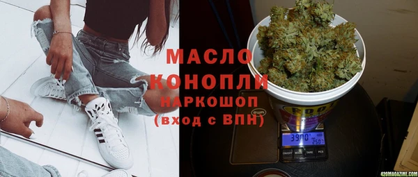 гашик Пересвет