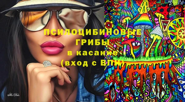 ПСИЛОЦИБИНОВЫЕ ГРИБЫ Переславль-Залесский