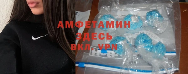 гашик Пересвет