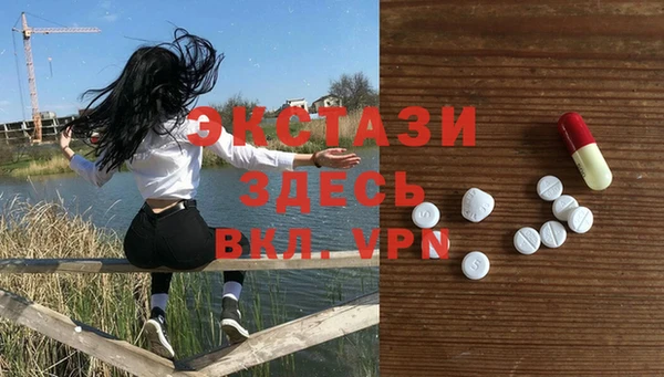 гашик Пересвет