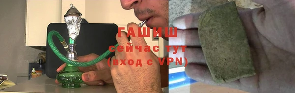 гашик Пересвет