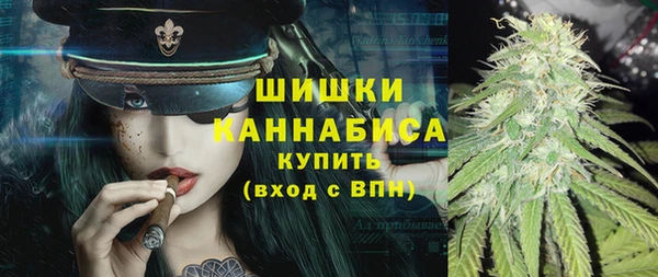 гашик Пересвет