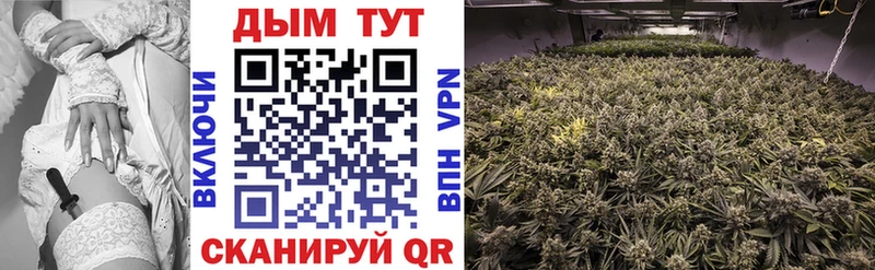 Конопля Bruce Banner  купить наркоту  Собинка 